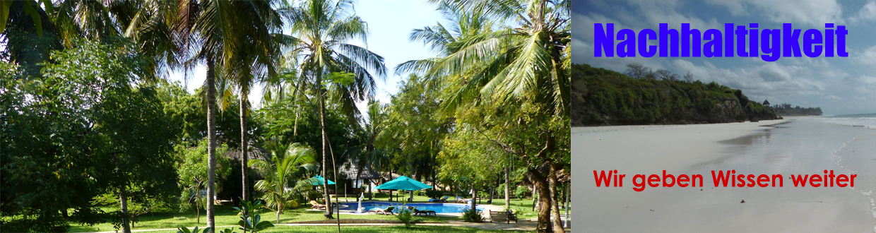 Wir optimieren Ihre Prozesse...