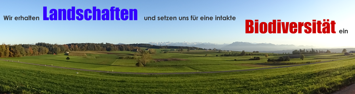 Alles aus einer Hand...